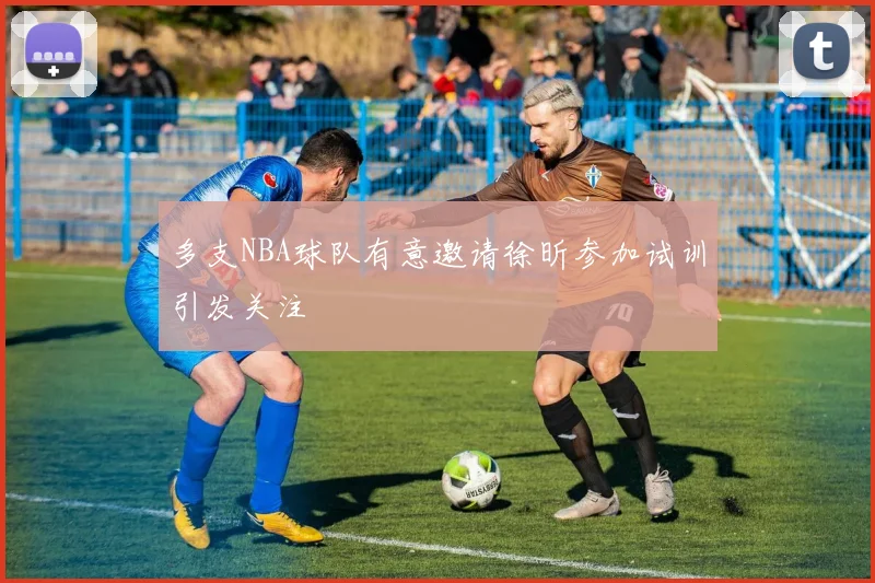 多支NBA球队有意邀请徐昕参加试训引发关注