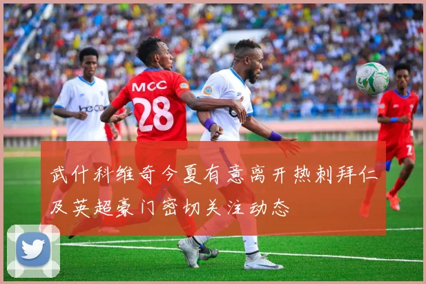武什科维奇今夏有意离开热刺拜仁及英超豪门密切关注动态