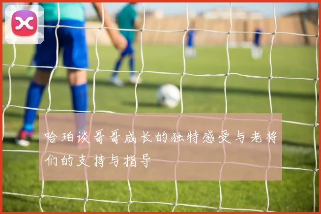 哈珀谈哥哥成长的独特感受与老将们的支持与指导