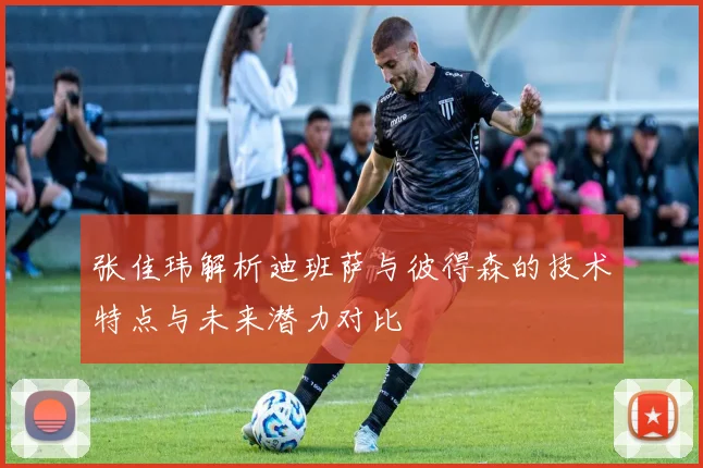张佳玮解析迪班萨与彼得森的技术特点与未来潜力对比